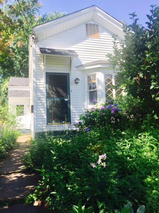In springtime, the front garden glows green. In the autumn, golden.