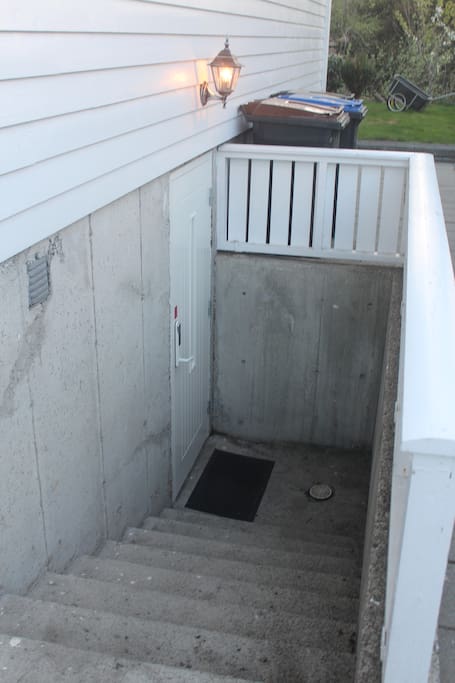 The entrance door to the basement on the right side of the house.