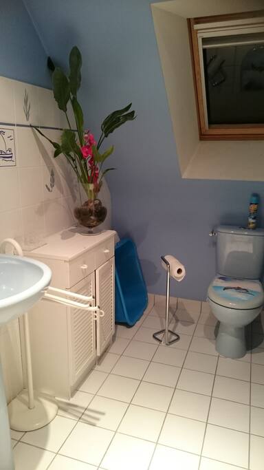 Salle d'eau et wc privatifs