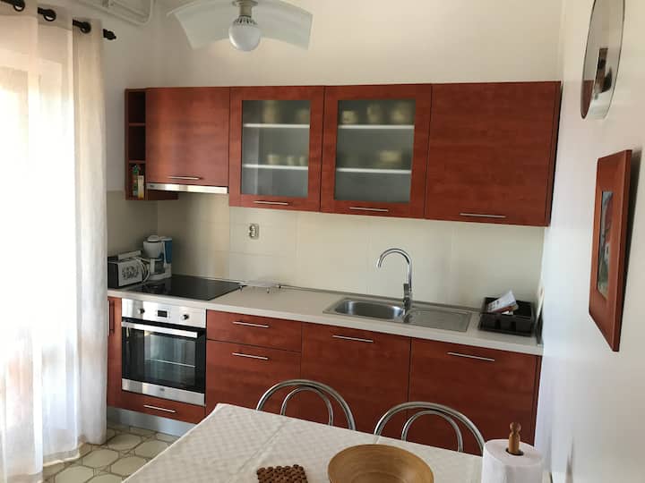 V1 - Charming Apartment In A Peaceful Location - Istria