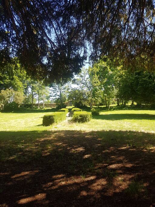 View from the garden