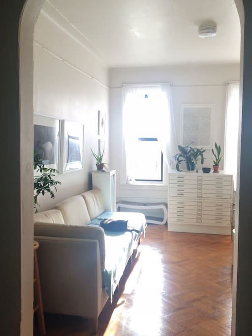 Sunny art-filled living room