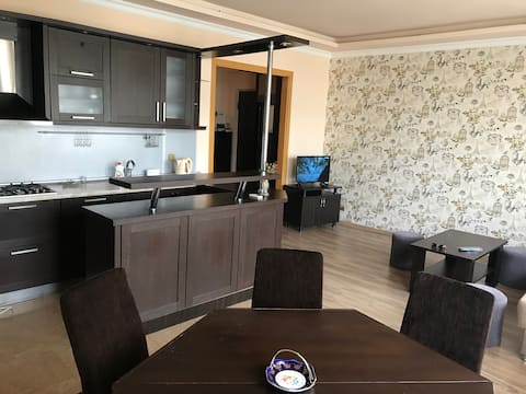 The apartment is opposite of Europe Square, Batumi