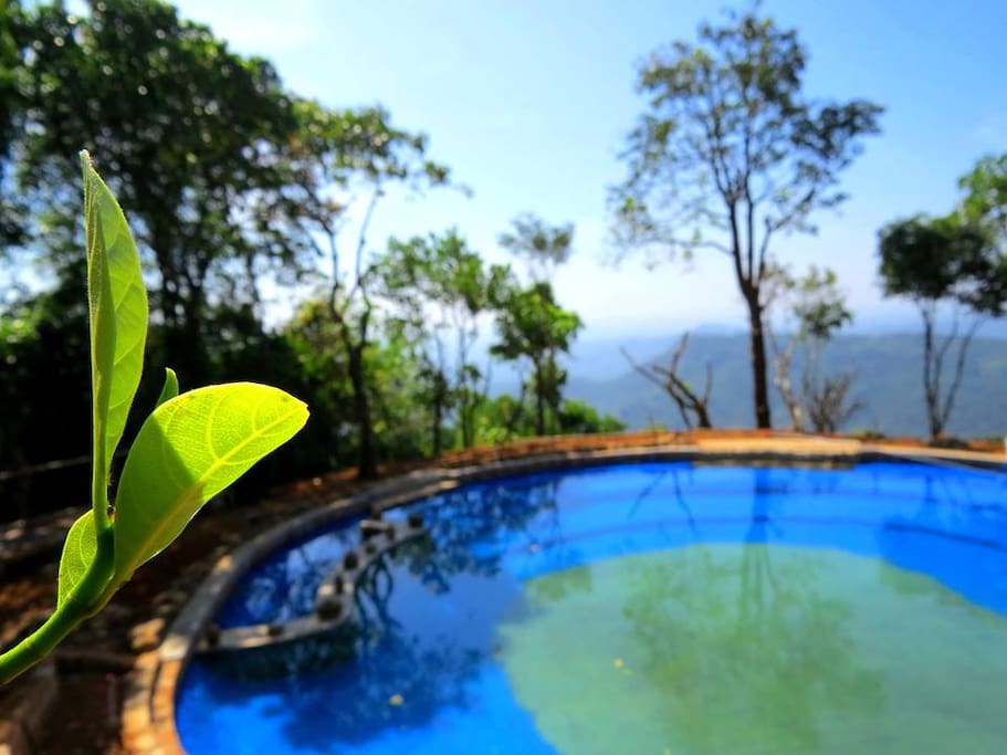 Natural Spring WaterPool