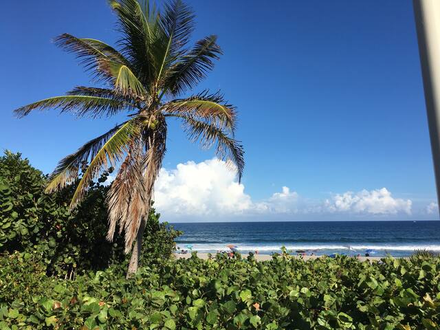 Condominiums For Rent In Boynton Beach Fl Condominiums For Rent In Boynton Beach Fl