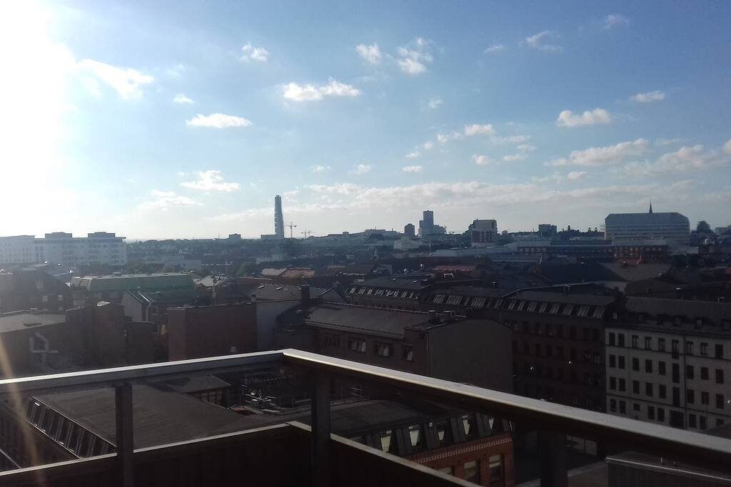 The view