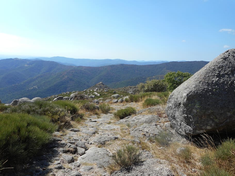 Mont Lozere, GR de Vialas