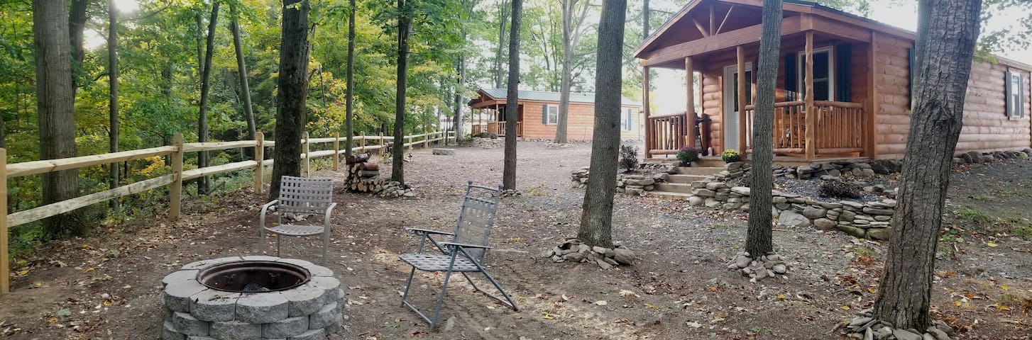 Big Hollow Run Luxury Cabin A Cabins For Rent In Watkins Glen