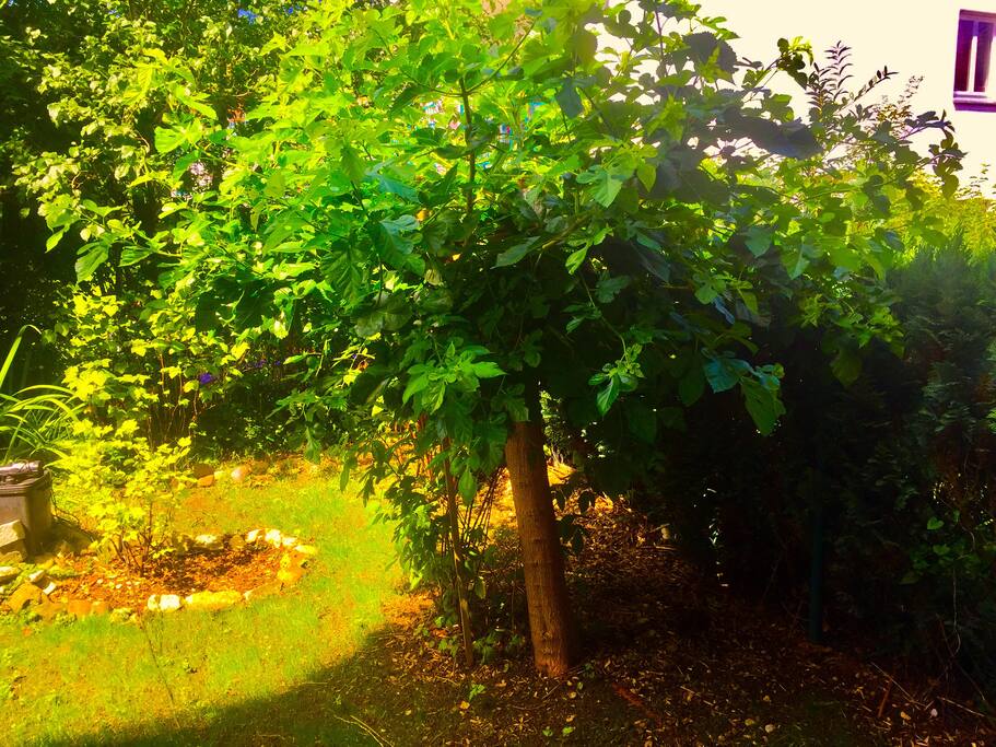 Schöne Garten mit kleinem Teich . Erholung pur