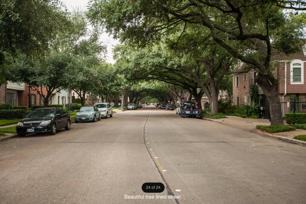 On an oak lined avenue...