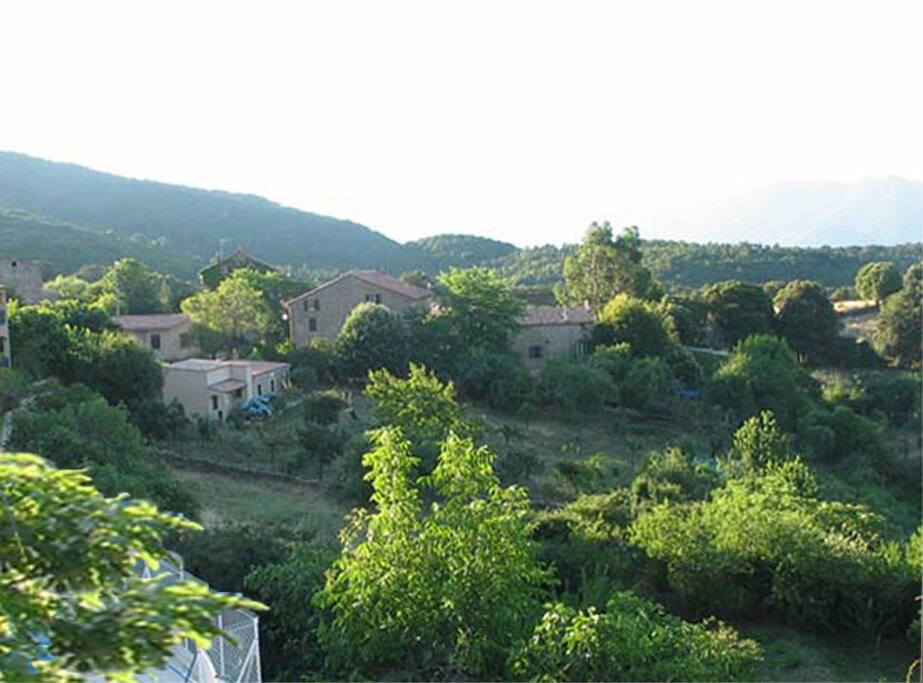 Bisinao
