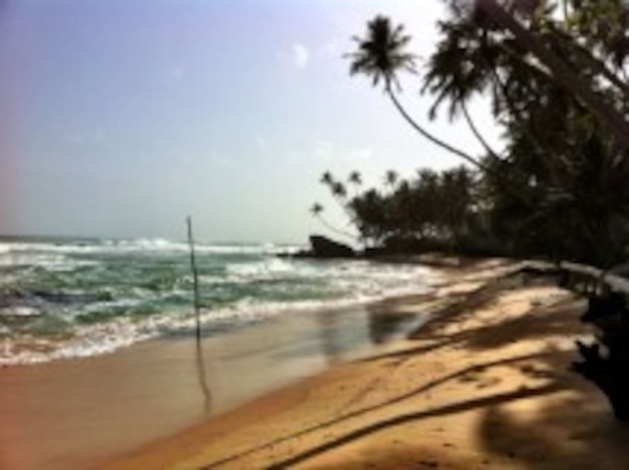La magnifique plage de Dalawella, à 3 km de l'appartement.