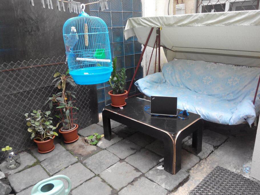 Privat territory for relax