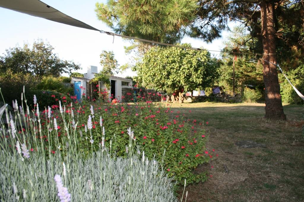 Jardin vu de la terrasse