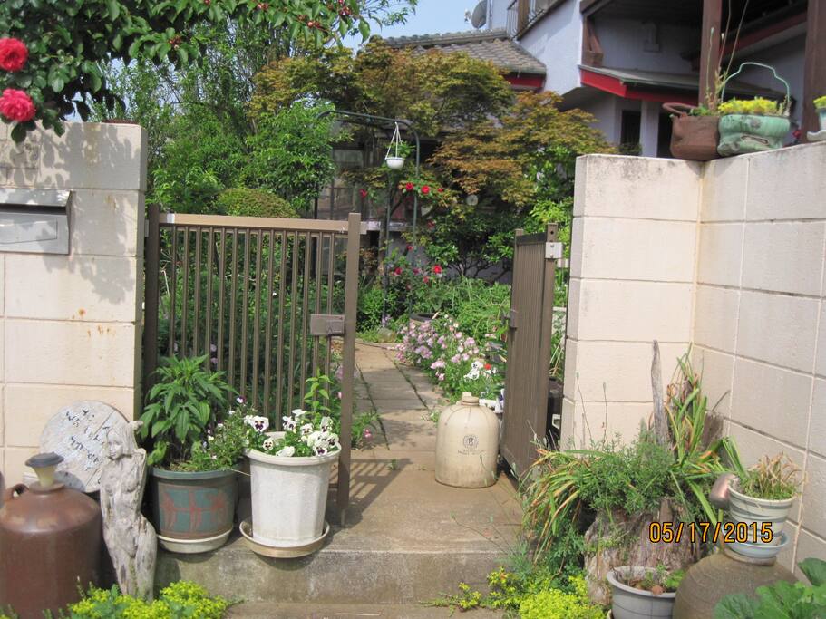 玄関回り、花で飾っています、骨董品が