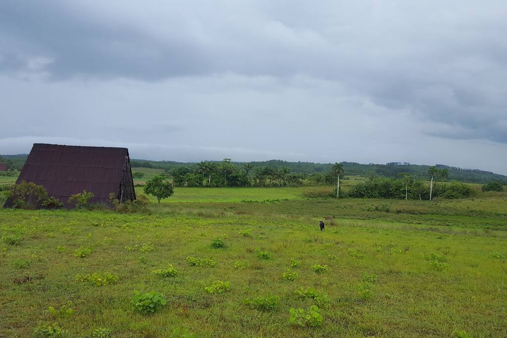 Casa de Curado del Tabaco