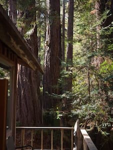 Serene Redwood Retreat w/Modern Comfort