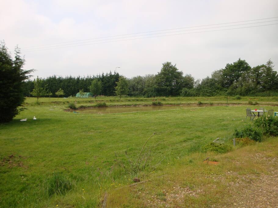 Large Garden