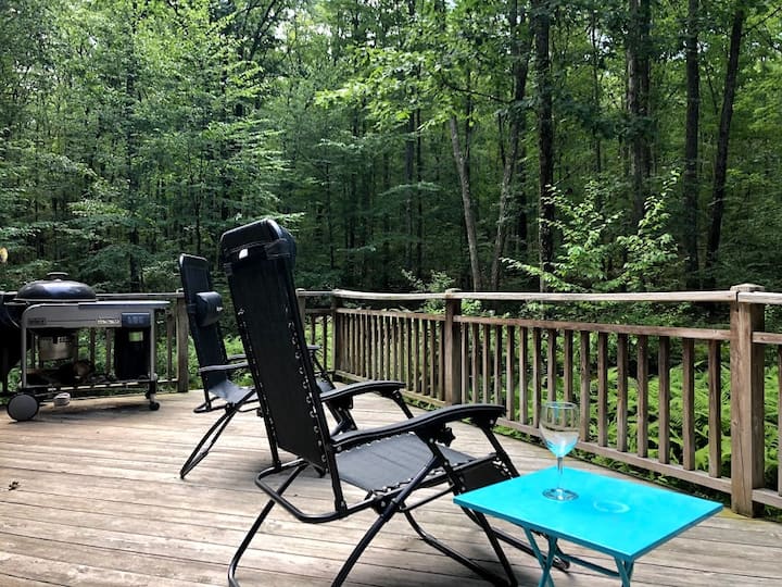 Modern Woods Retreat w Stream, 10 min Narrowsburg Houses for Rent in Narrowsburg, New York