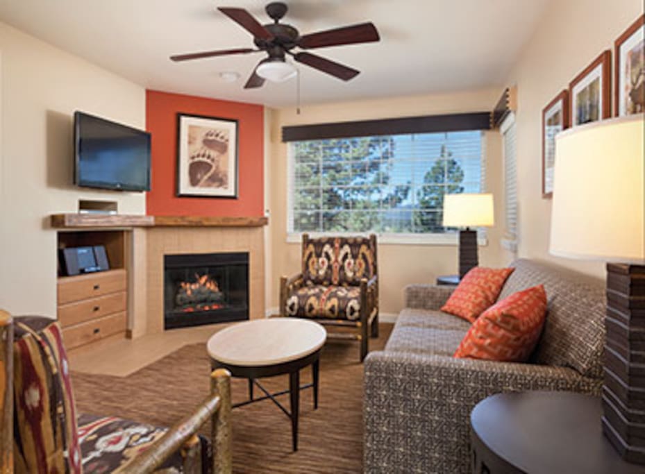 Front Room With TV, DVD Player, Stereo, Gas Fireplace and Queen Murphy Bed Folds Out Of Wall