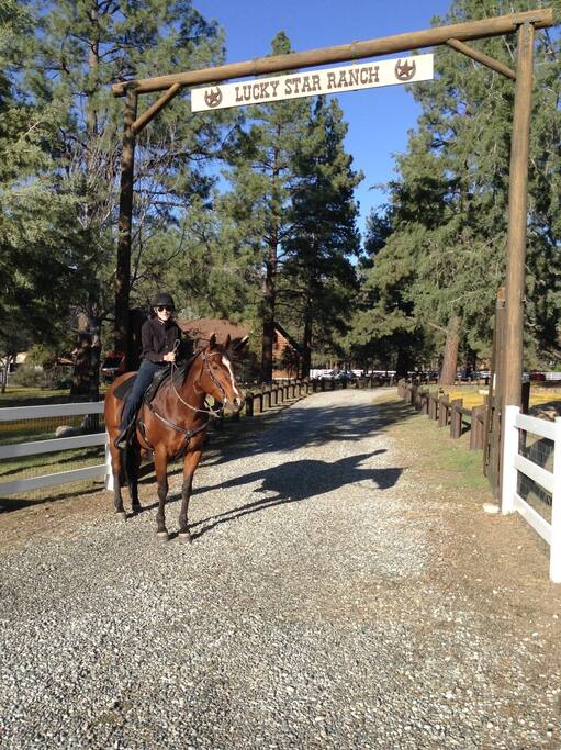 Welcome to Lucky Star Ranch!
