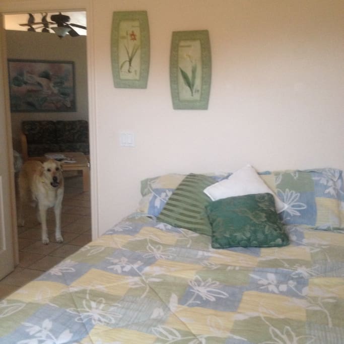Queen bedroom