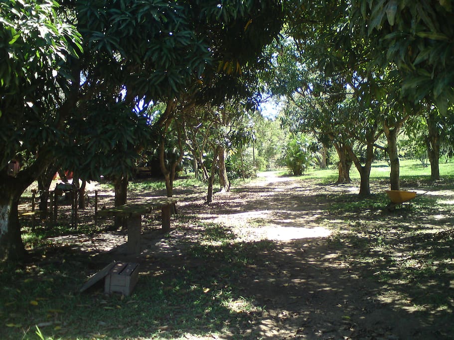 Sitio Recanto da Rasa , muito verde
e tranquilidade a 15 min. de Geribá.