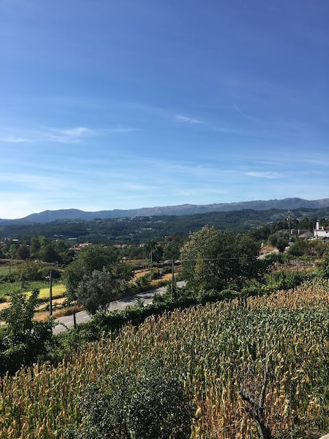 Rest and comfort in Vouzela