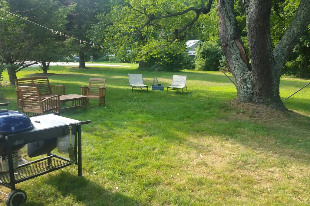 Rustic backyard
