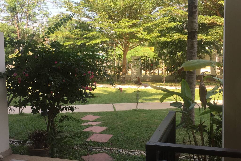 Greenery around