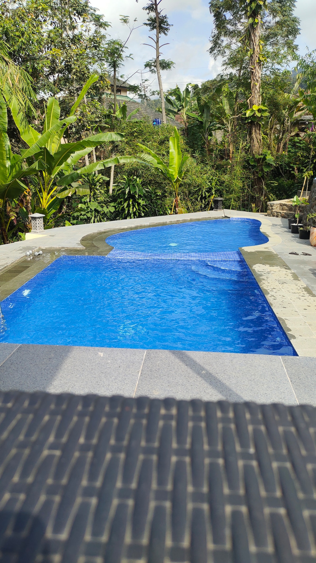 A bright blue swimming pool is set against a backdrop of lush greenery. Palm trees and other tropical plants surround the area, contributing to a serene environment. The pool features a sleek, modern design with gently curved edges and textured stone tiles along the perimeter.