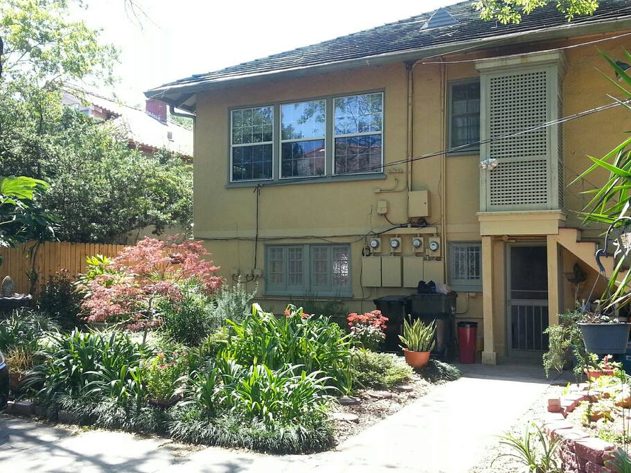 House rear