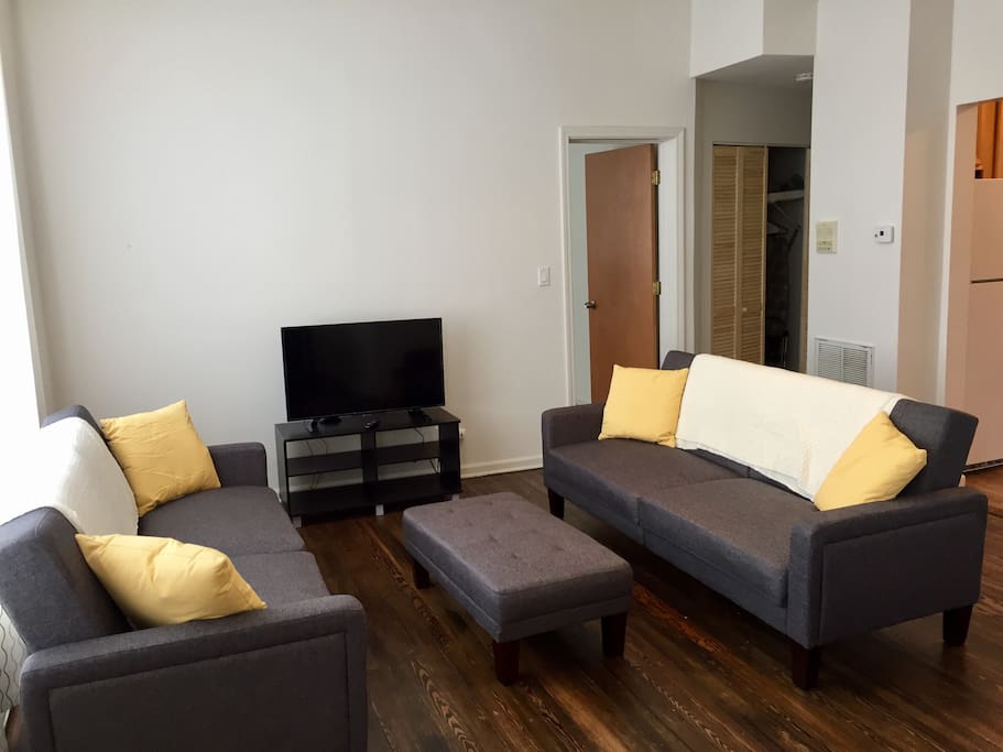 Living room with two sleeper sofas