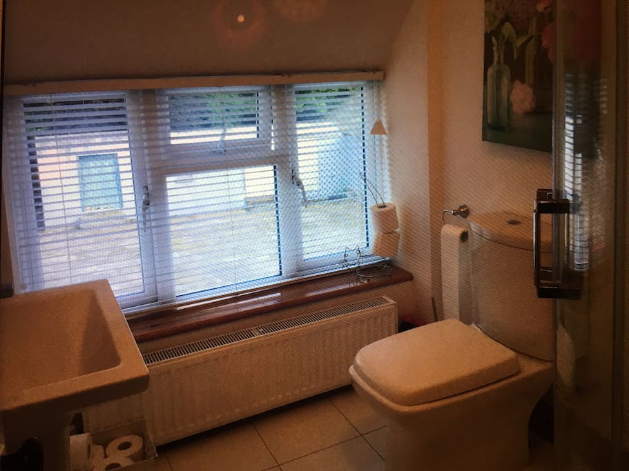 Upstairs toilet and shower.