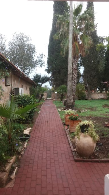 Property yard to enjoy