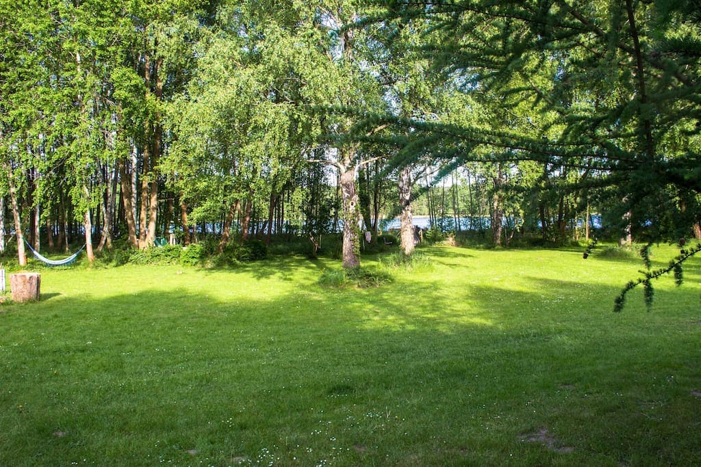 A spacious grassy area is framed by lush trees, providing a natural setting near the edge of a tranquil lake visible in the background. Sunlight filters through the branches, casting gentle shadows across the ground, creating a peaceful ambiance for relaxation.
