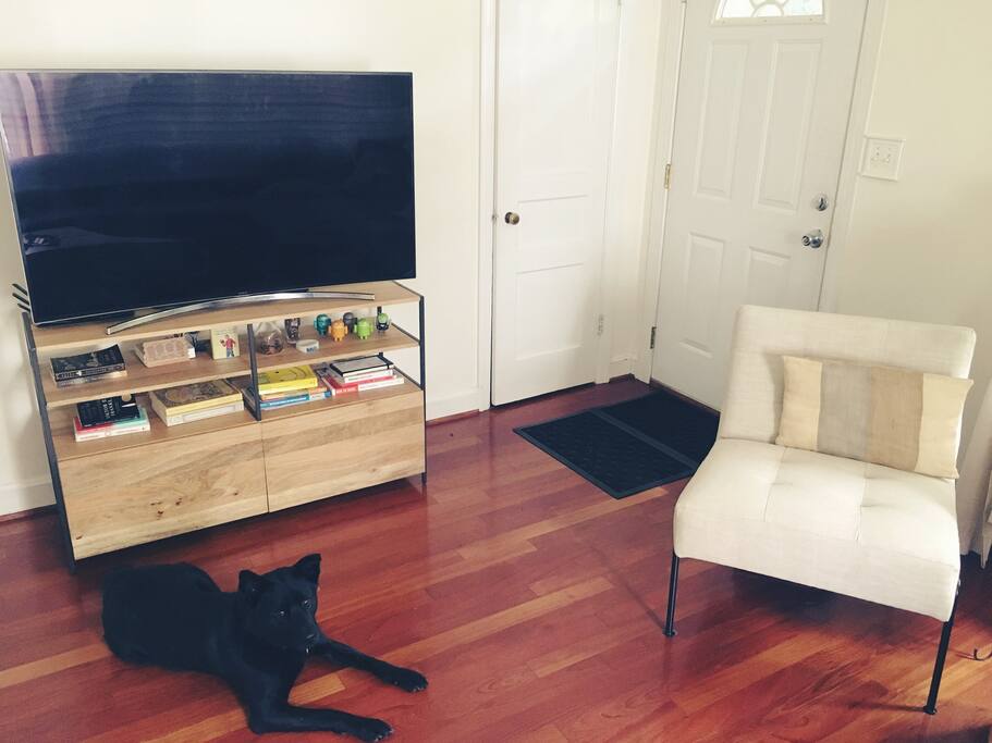 TV and Wifi included (**DOG NOT INCLUDED**)