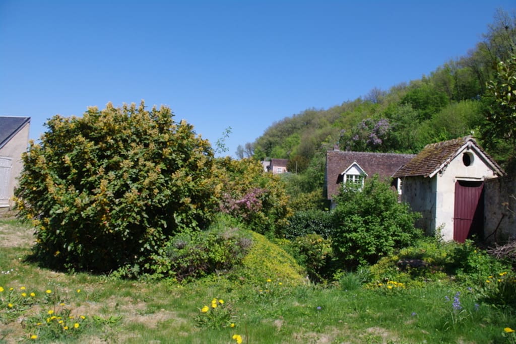 The garden
