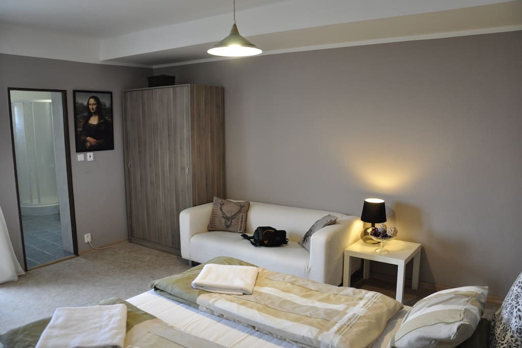 There is a big bed, a sofa, a balcony and a bathroom in the room.