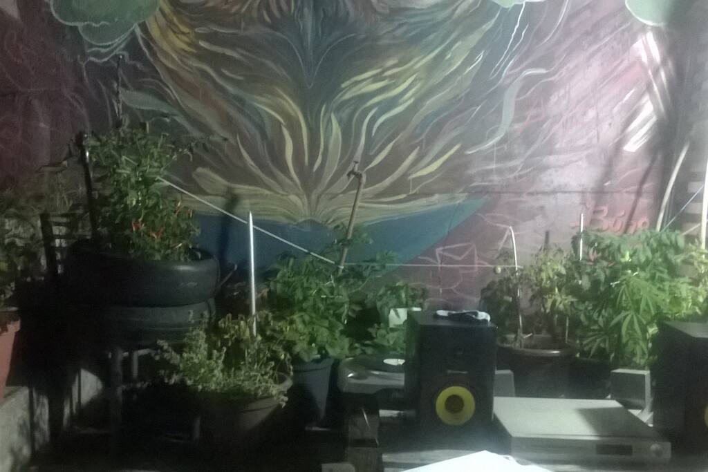 Esta es unaparte de la azotea donde esta la huerta. un lindo lugar para leer, tomar un trago o relajarse en los sillones al aire libre.