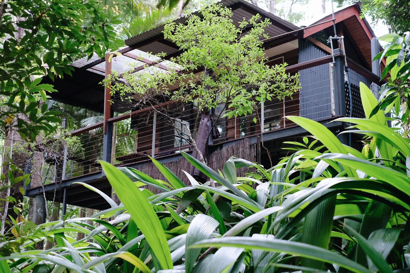 Rainforest Creek Cabin Guesthouses For Rent In Maleny