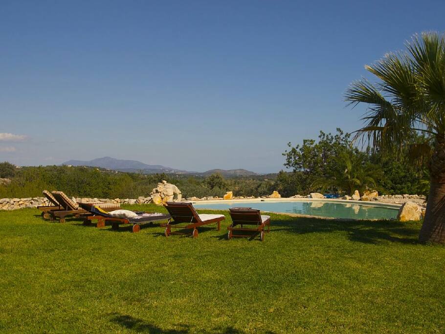 Common salt water pool