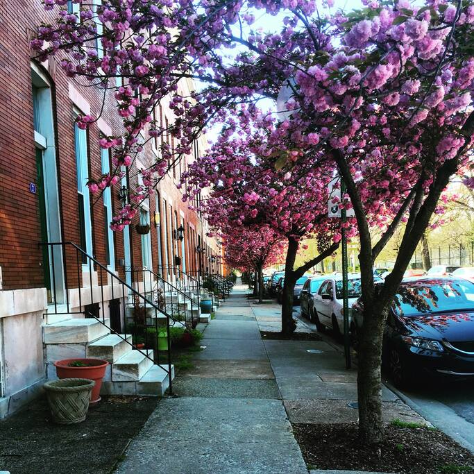 The block