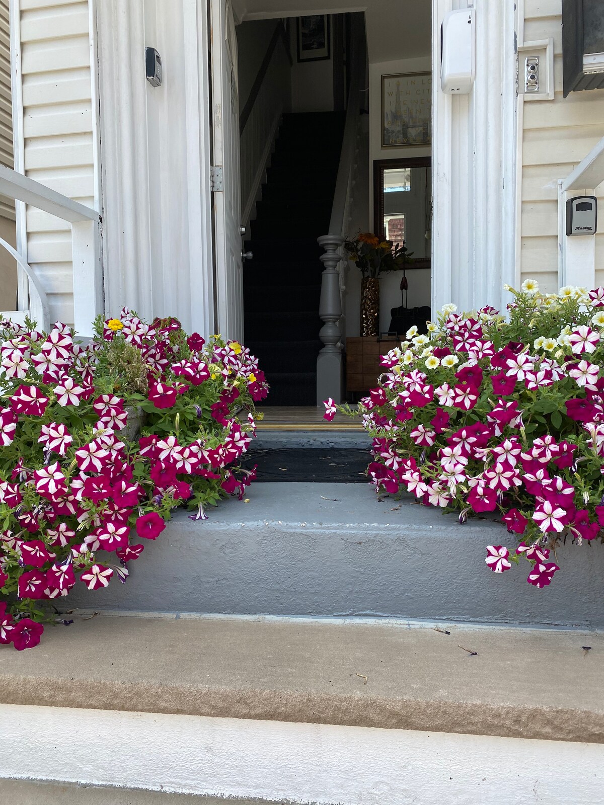 A welcoming entrance is surrounded by vibrant pink and white flowers on both sides of the steps. The entrance leads to a staircase with dark carpet, enhancing the cozy ambiance of the home.