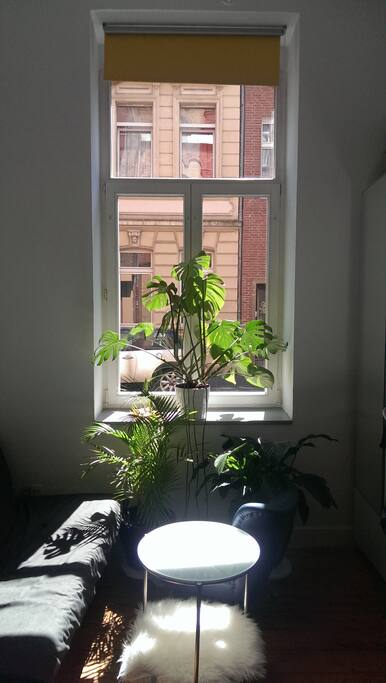 Sunny and bright flat in the heart of Ehrenfeld / Cologne