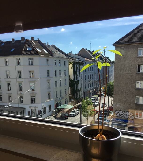 Fensterblick