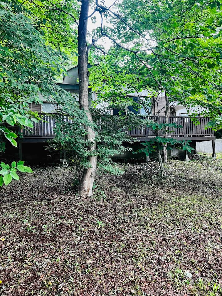 Rent a family home for the forest view