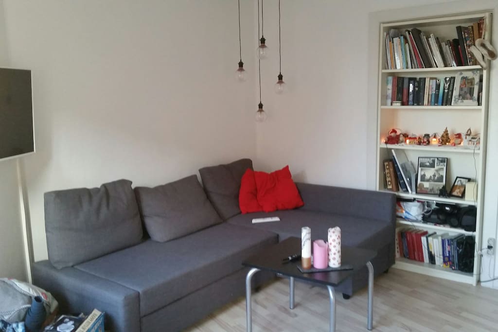 Rest of living room with tv and book shelve and sofa with double bed possibilities