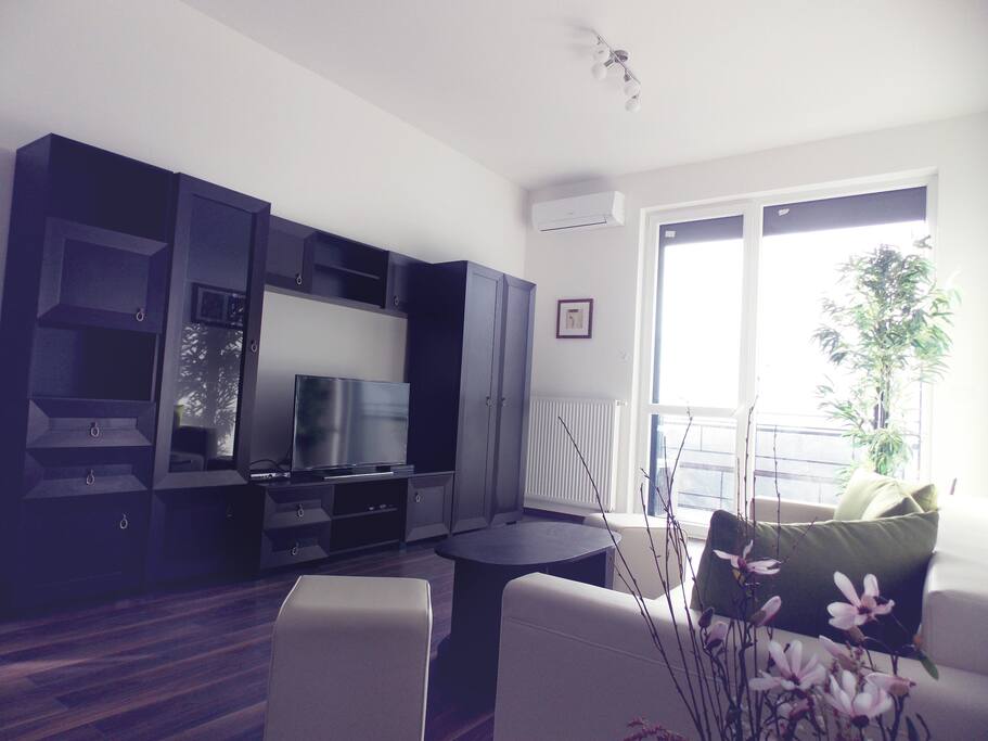 Wohn-/Schlafzimmer
