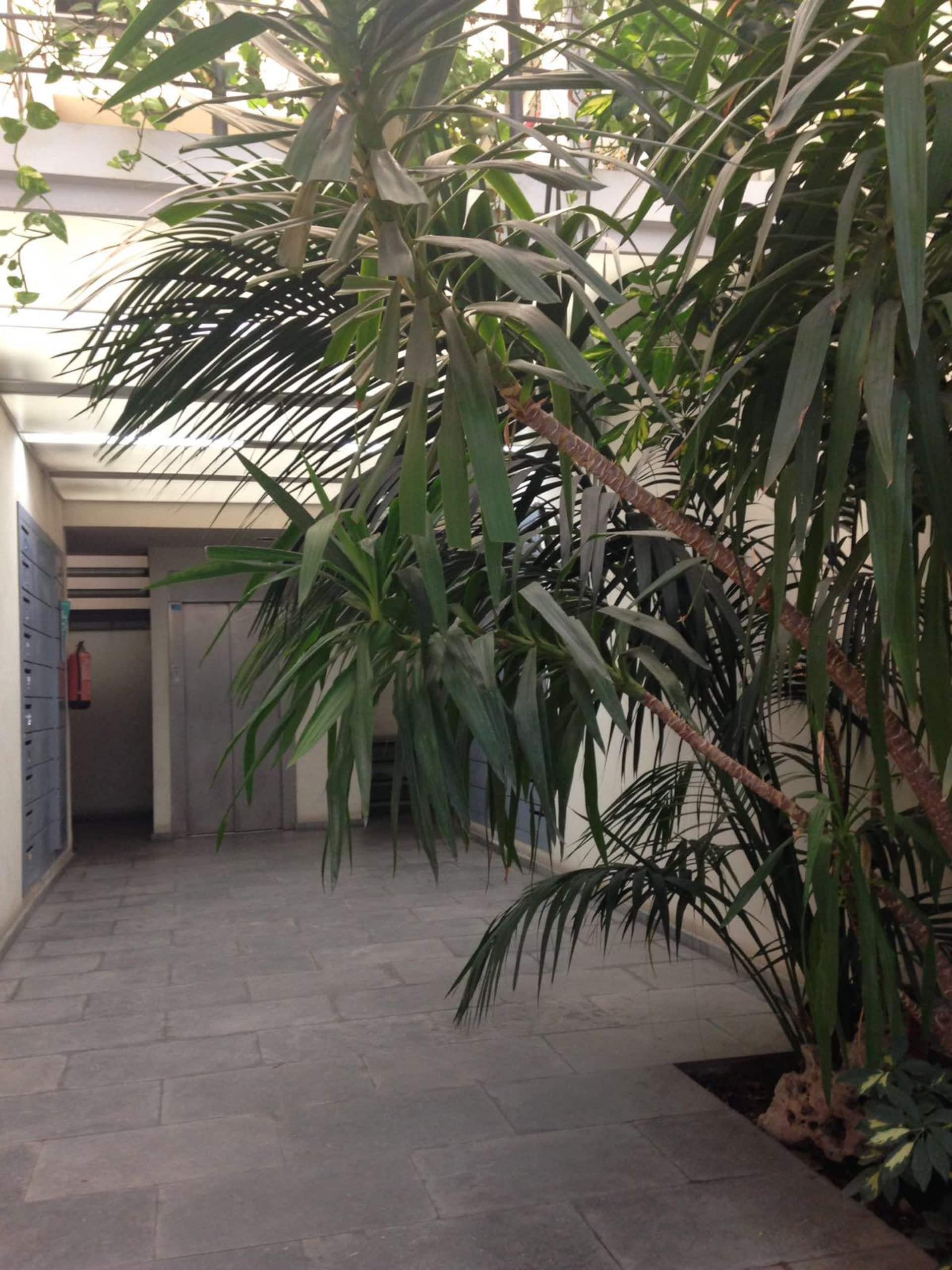 Fantastic apartment 5 minutes away from the beach — zdjęcie 3